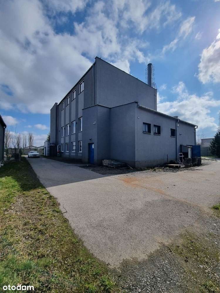 TEREN PRZEMYSŁOWY / HALA / PRODUKCJA / BIURO - Pełny obrazek: 5/16