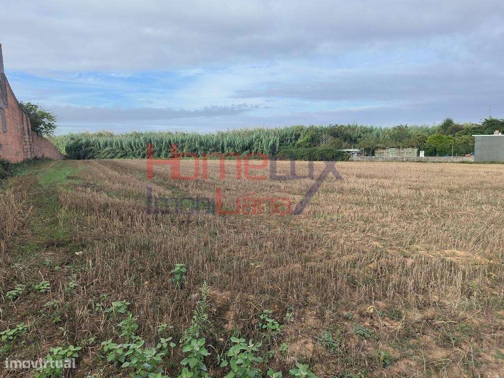 Terreno Urbano com 43.56m² Frente. - Grande imagem: 4/4