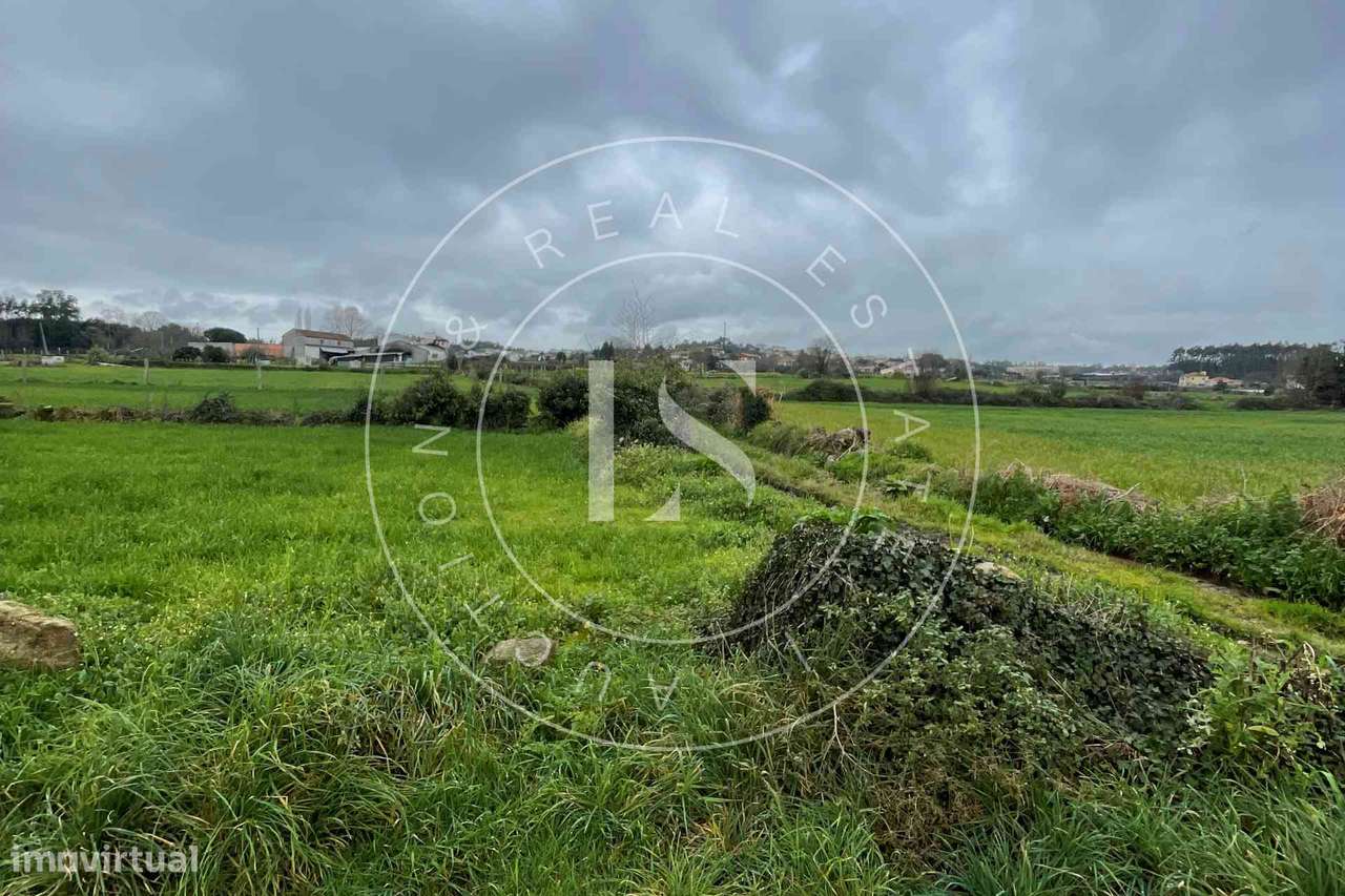 Prédio Rústico na Trofa - Grande imagem: 3/5