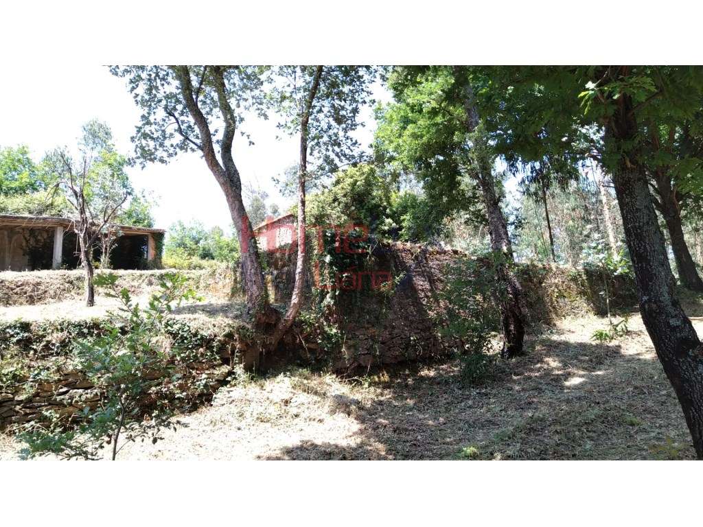 Terreno em Águeda - Grande imagem: 5/7