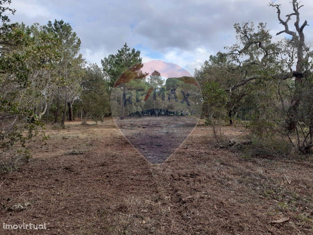 Terreno  para venda