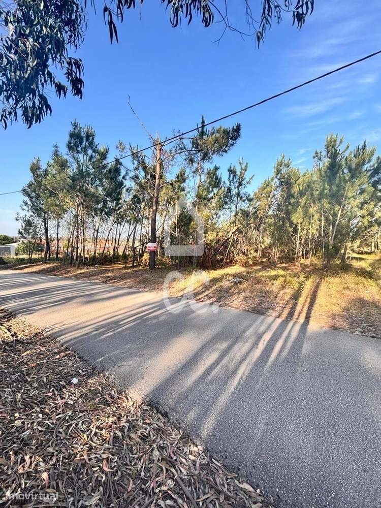 VIEIRA DE LEIRIA---Terreno com a área de 1240 m2, inserido no aglomera-3