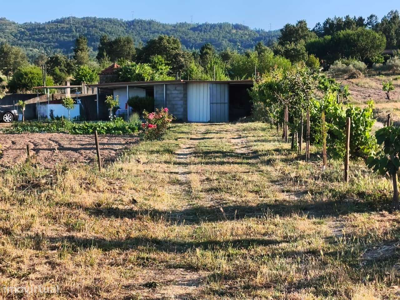 Terreno rustico em Peraboa-1