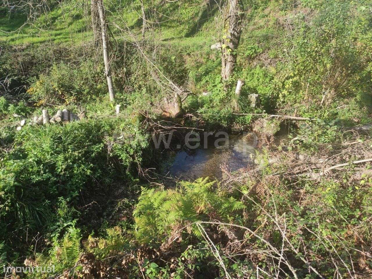 Terreno em Fornelos - Grande imagem: 5/9