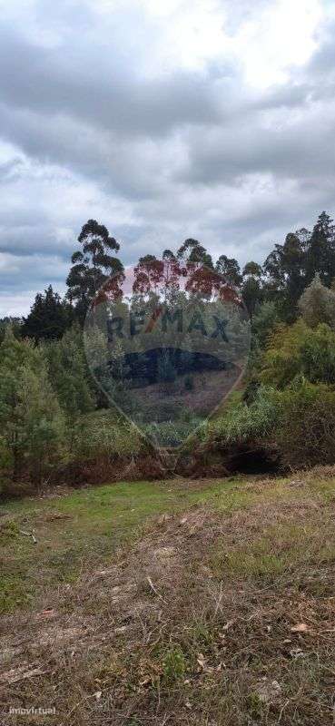 Terreno  para venda - Grande imagem: 3/7