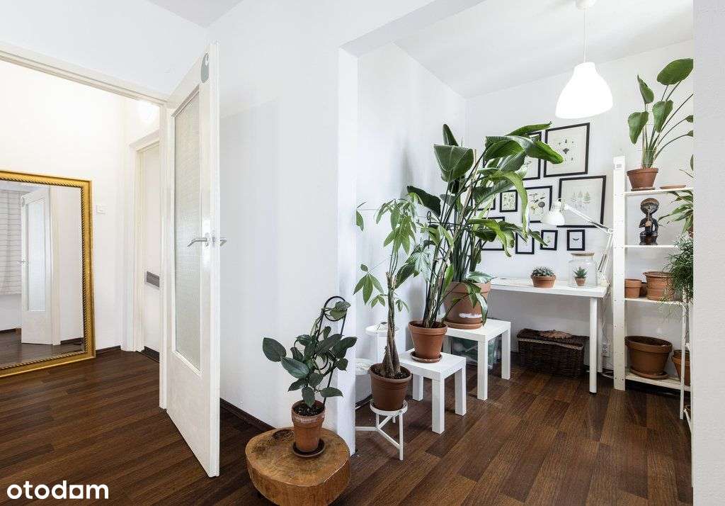 3 pokoje z możliwością przebudowy na 5-9