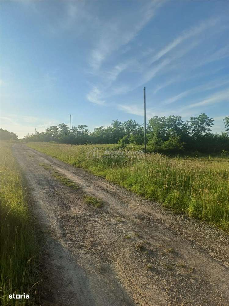 Teren intravilan de vanzare cu utilitati cartier Armeni Talmaciu - Imagine principală: 5/5