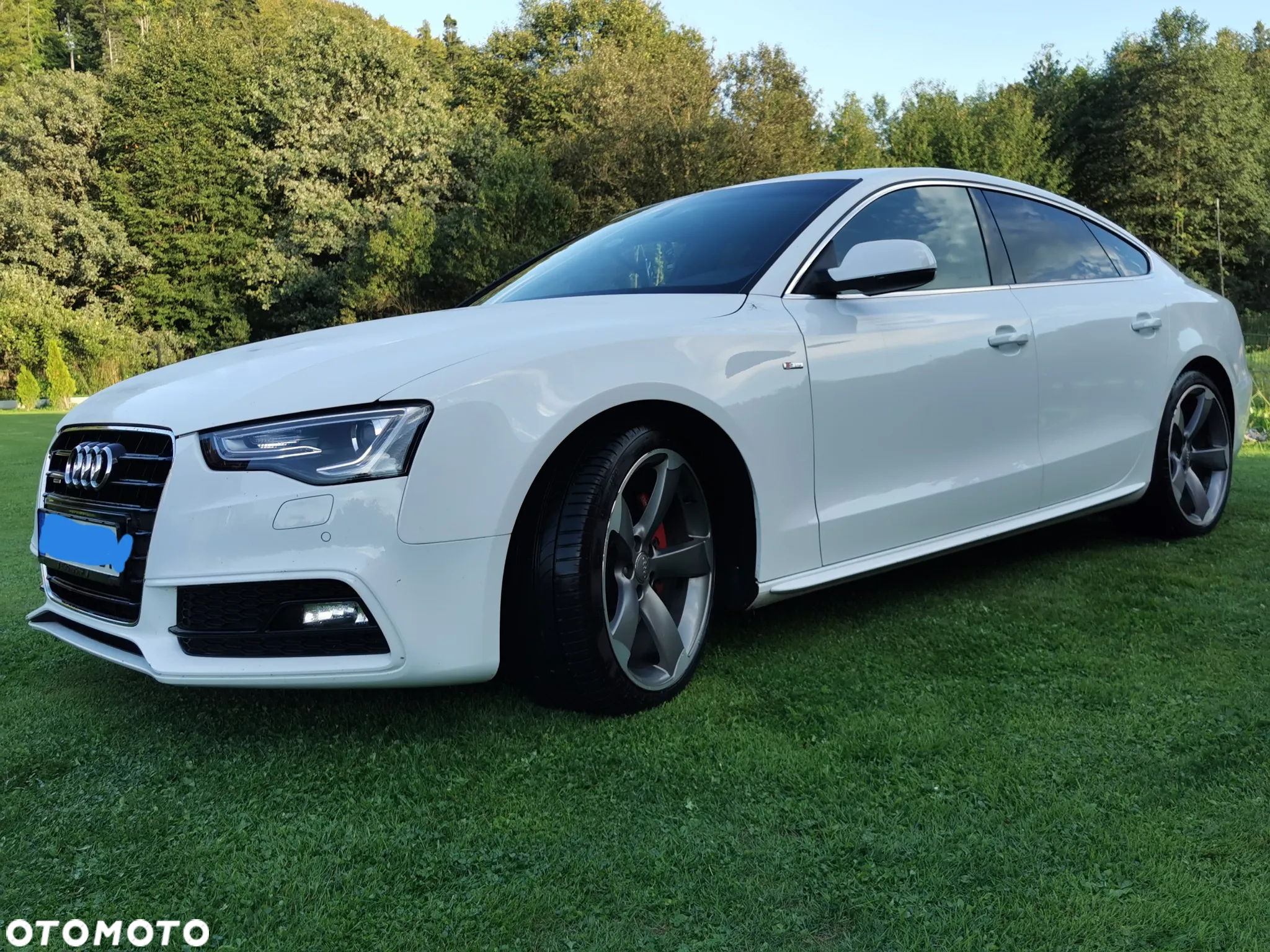 Audi A5 3.0 TDI Sportback (clean die.) quat DPF S tro - 5