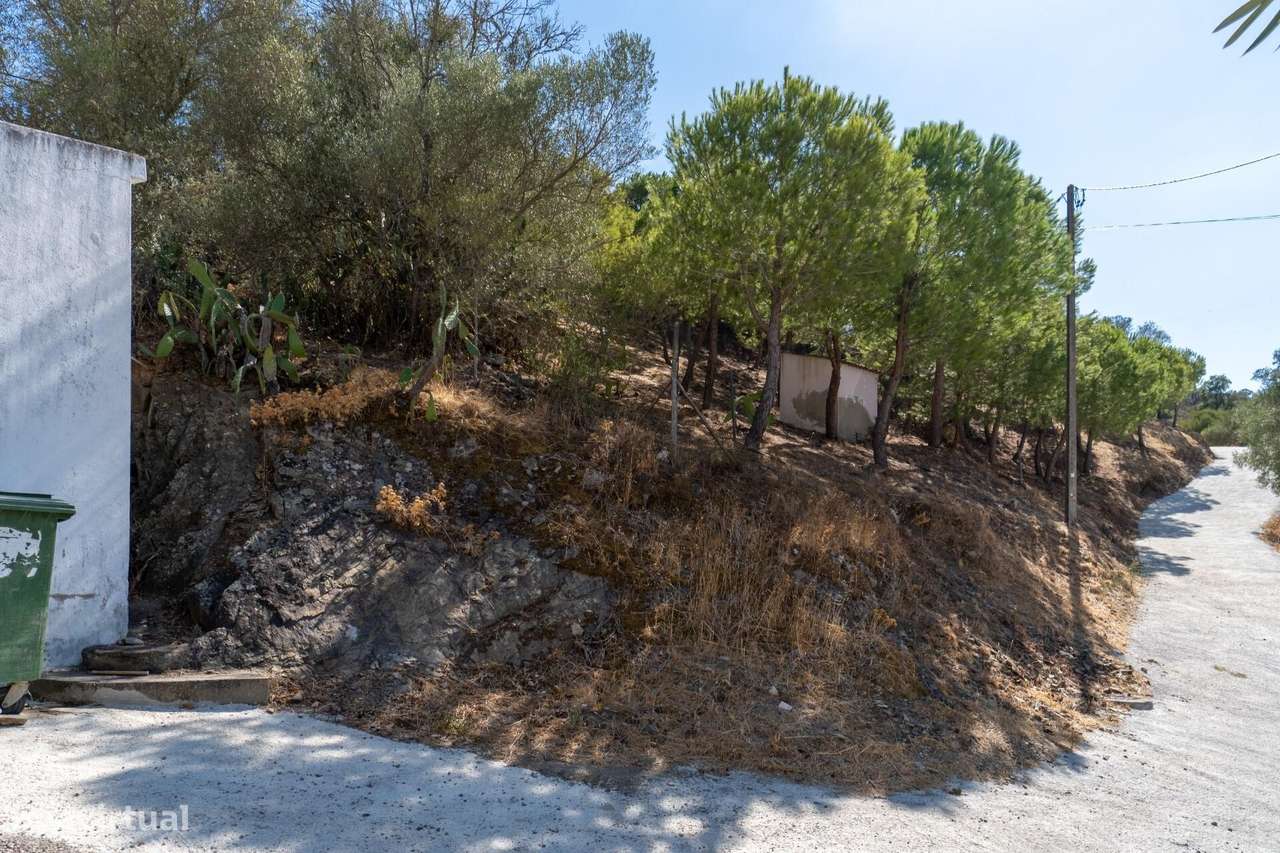 Terreno para construção junto ao Rio Guadiana na aldeia do Álamo, A - Grande imagem: 5/13