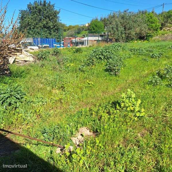Aluguer de Terreno - Cerro do Ouro - Grande imagem: 5/7