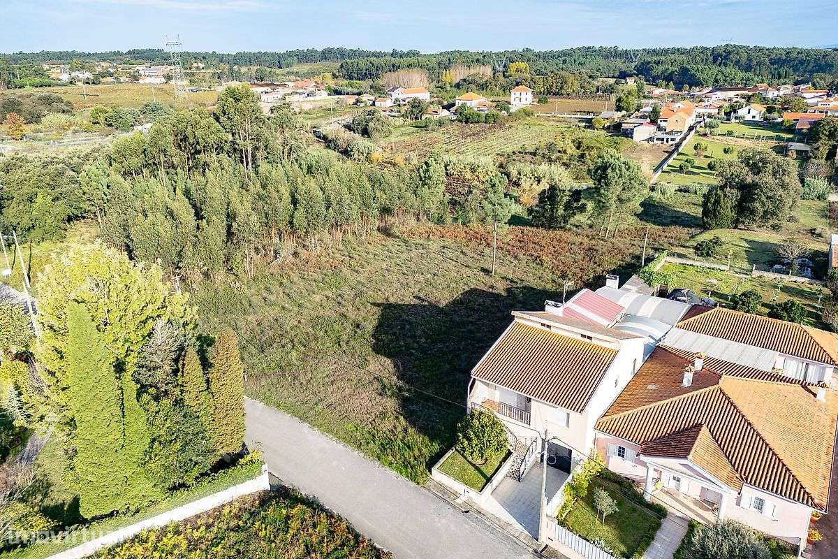 Terreno rústico com viabilidade de construção – Fogueira, Anadia - Grande imagem: 2/4