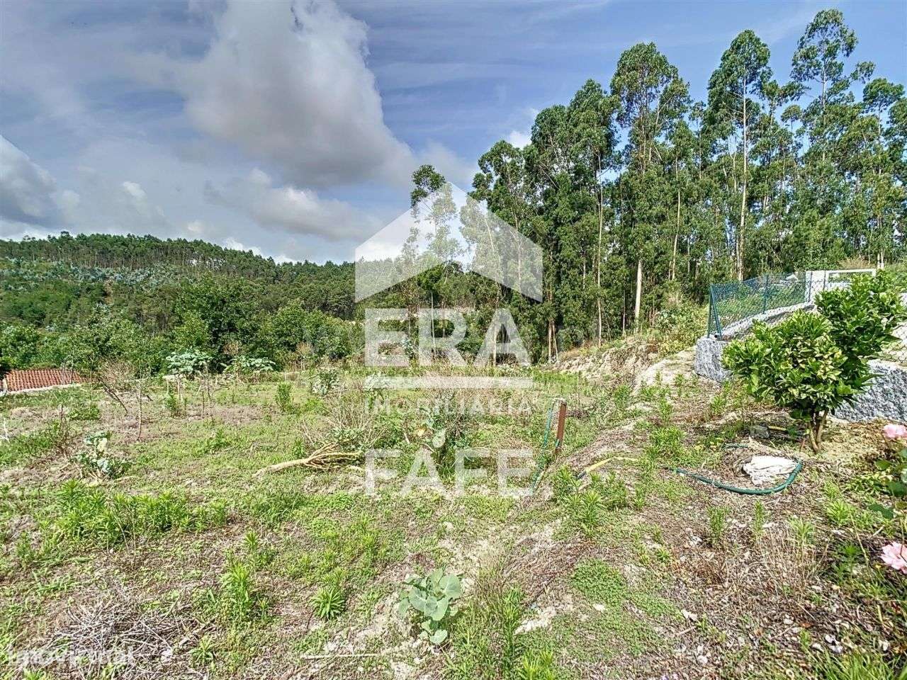 Terreno em Arões São Romão - Grande imagem: 4/16