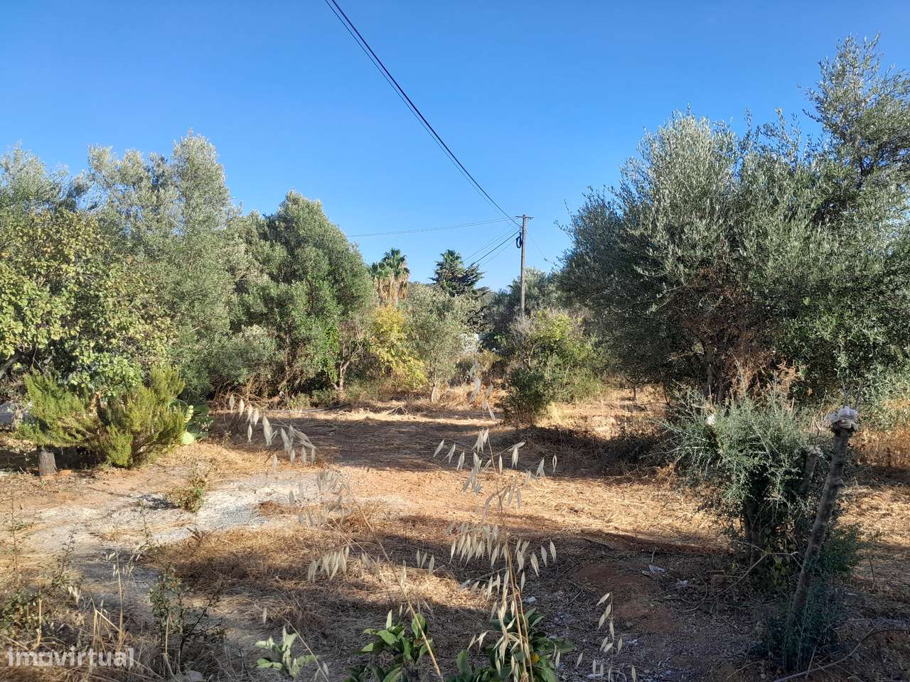 Moradia T3 C/ 10.000M2 Terreno C/ Furo-15