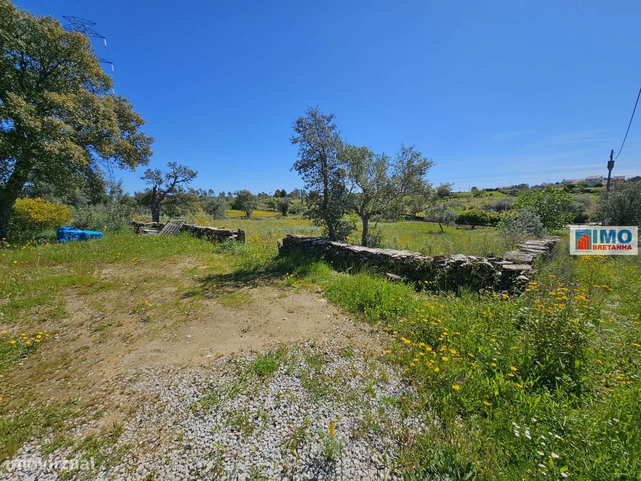 Terreno em Amarelos - 15 min Castelo Branco - Grande imagem: 2/15