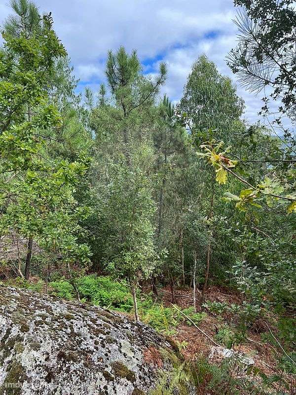 Terreno  para venda - Grande imagem: 4/12