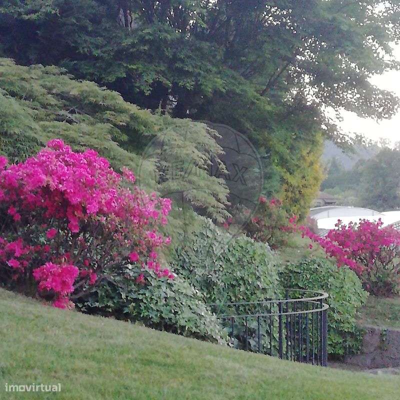 Quinta T3 para venda-15