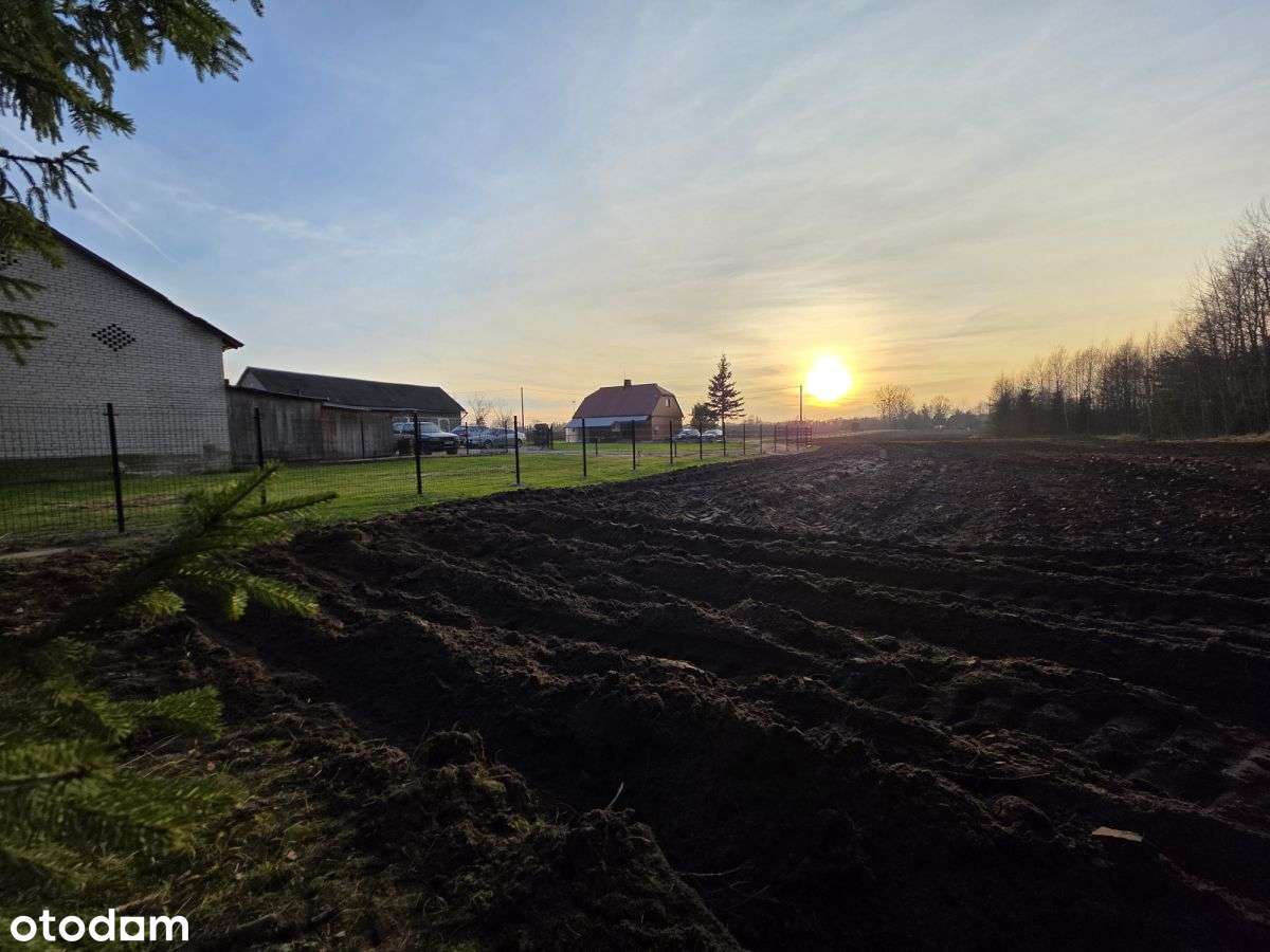 Siedlisko, Jabłońskie, Las-19