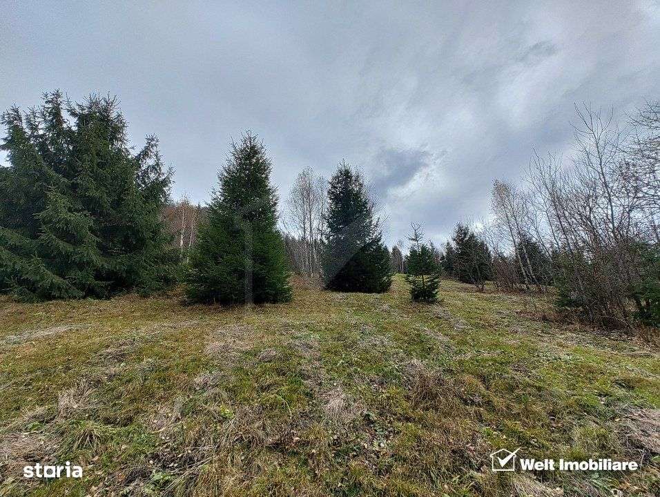 Oportunitate unica! 5ha + 2 cabane de vacanta in Valea Ierii - Imagine principală: 5/19