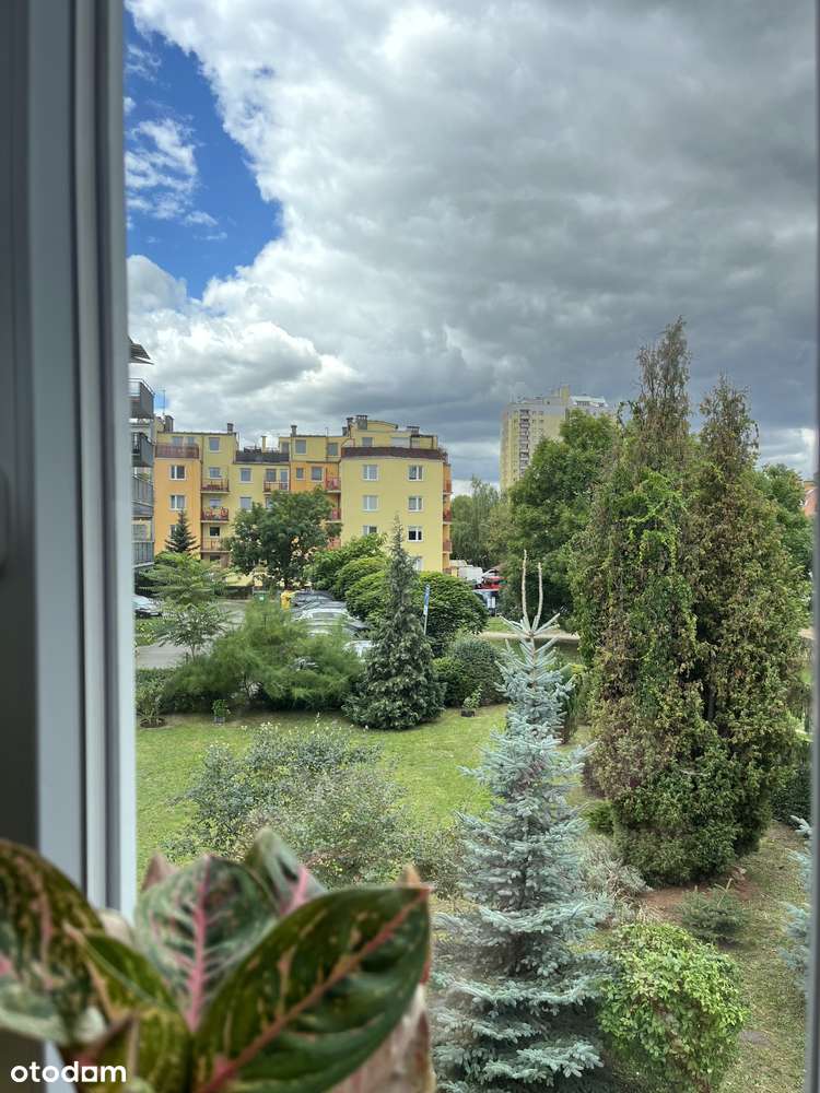 3 pokoje po remoncie - wysoki standard-12