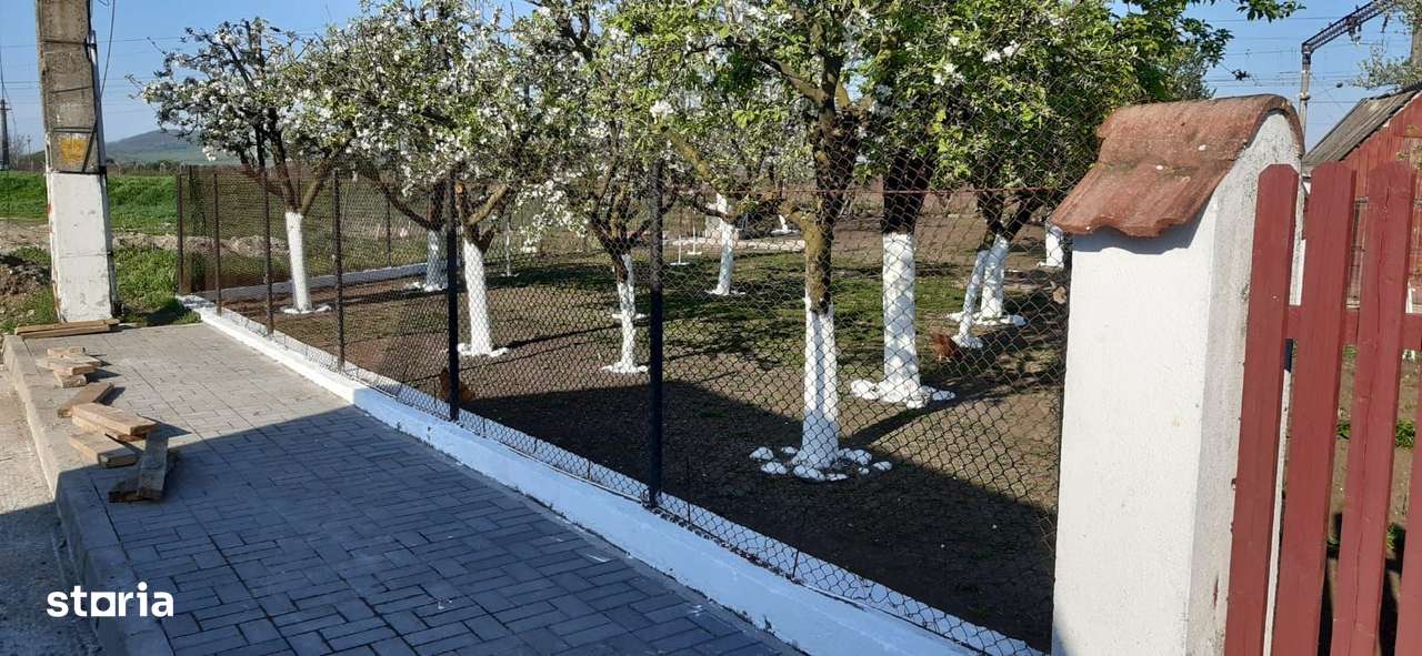 OFERTĂ in Băcia, Hunedoara ! Proprietate 2 case + Cabană + Livadă-11