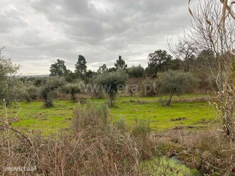 Terreno Rústico / Fundão, Orca - Grande imagem: 4/8