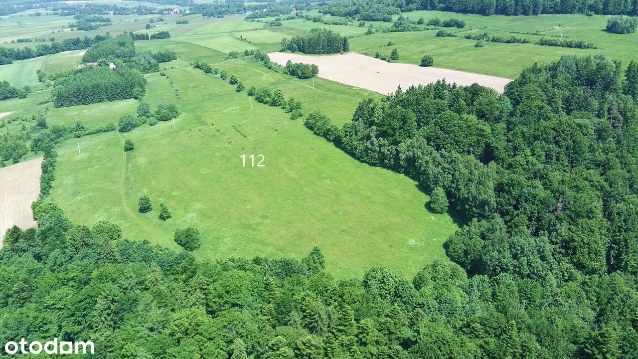 Na Sprzedaż Pięknie Położony Grunt Rolny w Kotlinie Kłodzkiej-17