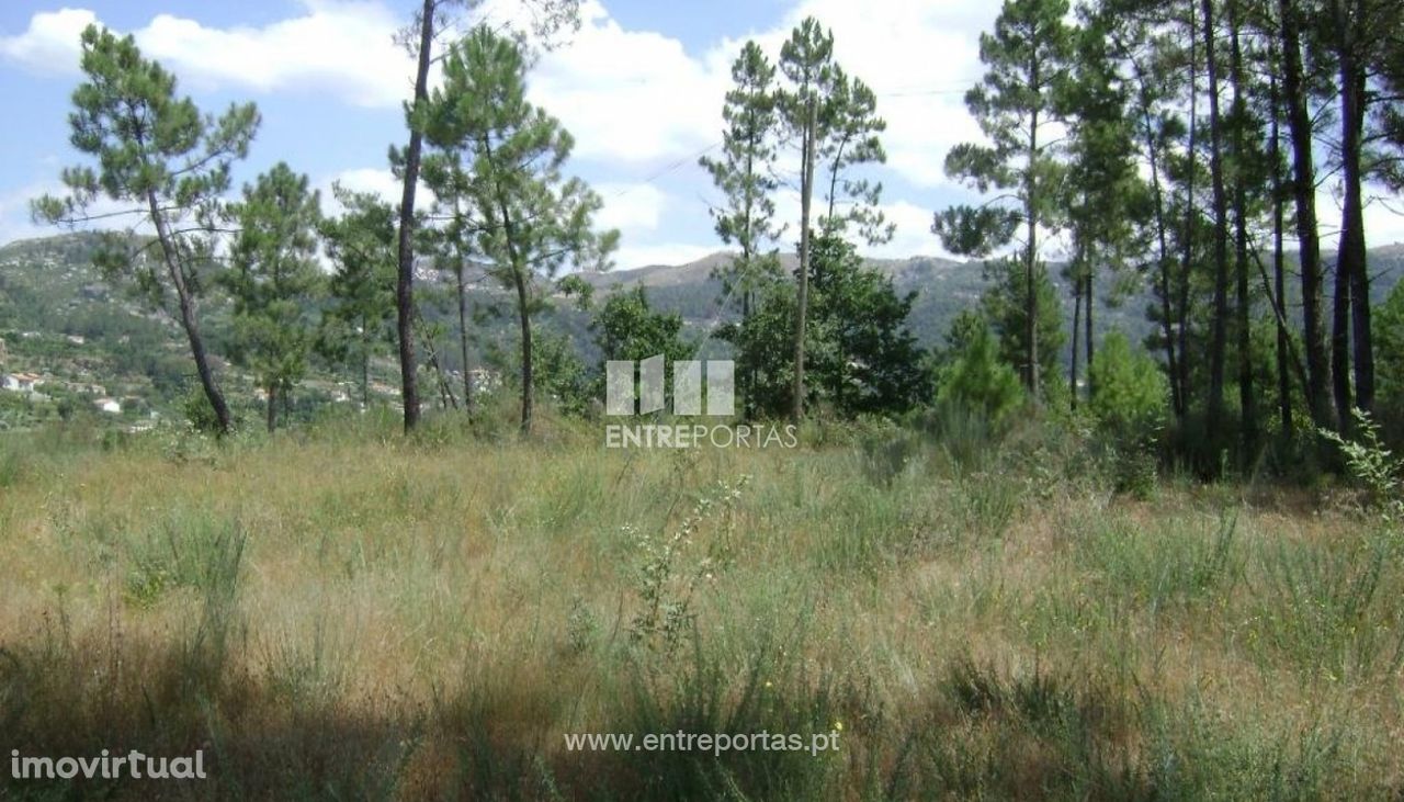 Venda Terreno, Soalhães, Marco de Canaveses