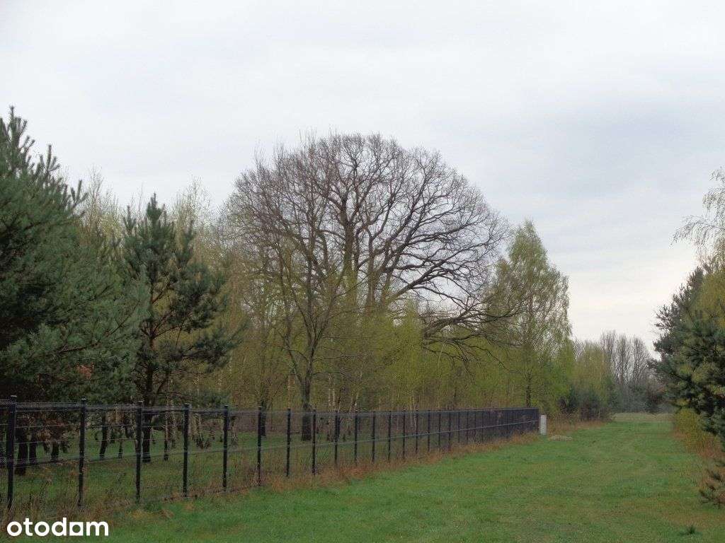 Działka budowlana w pobliżu Kampinoskiego P.N. - More