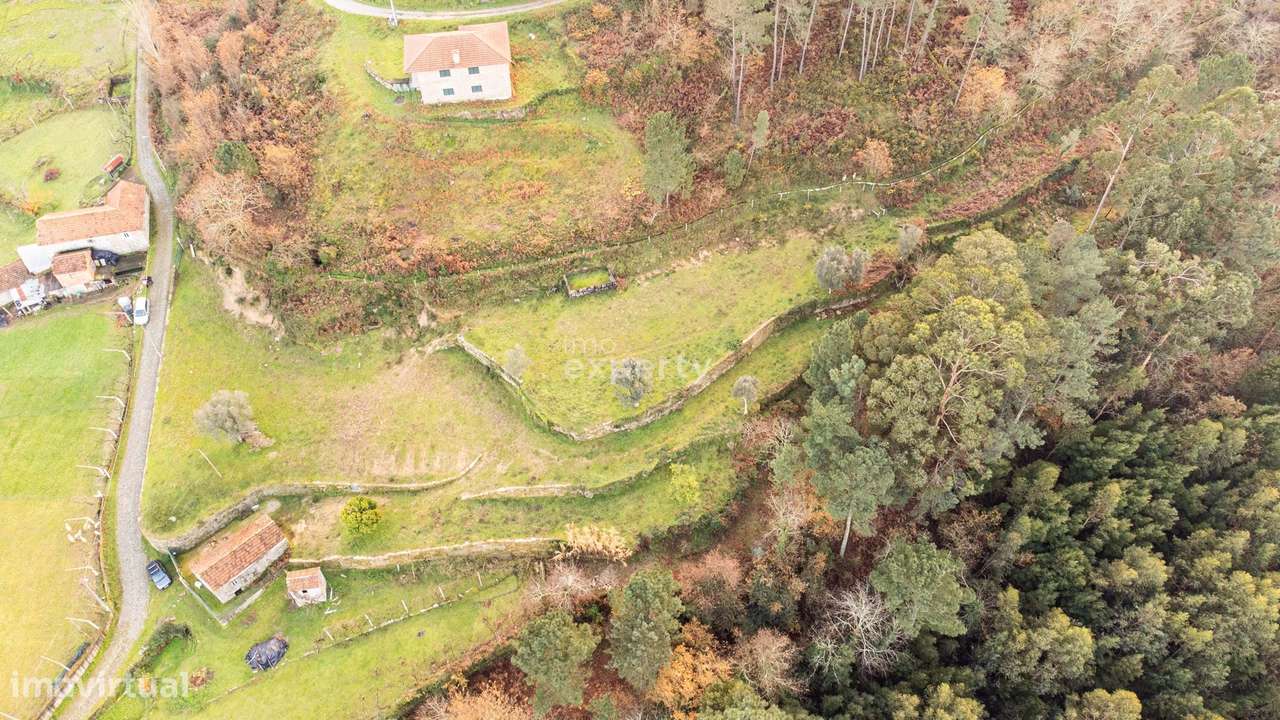 Terreno Urbanizável em Cinfães, Viseu - Grande imagem: 4/34