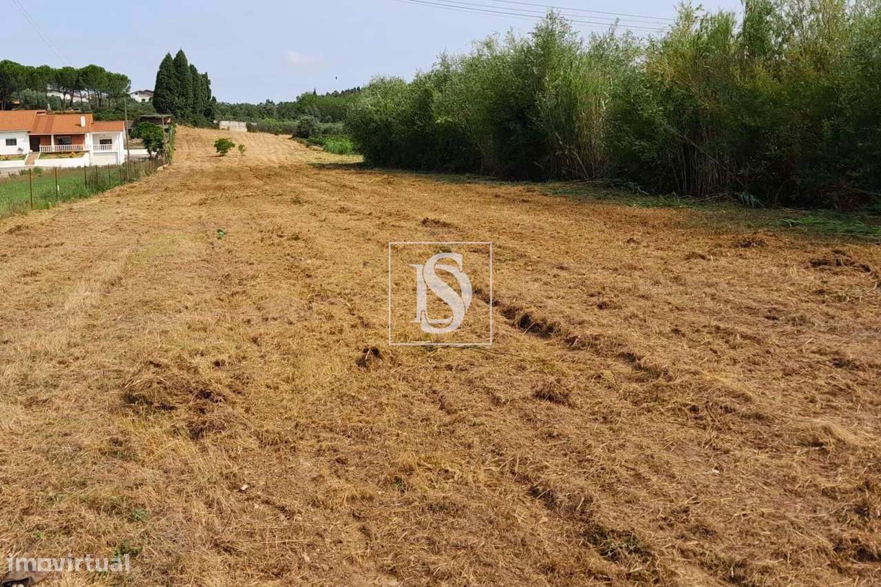 Terreno em Ventosa do Bairro - Grande imagem: 4/5