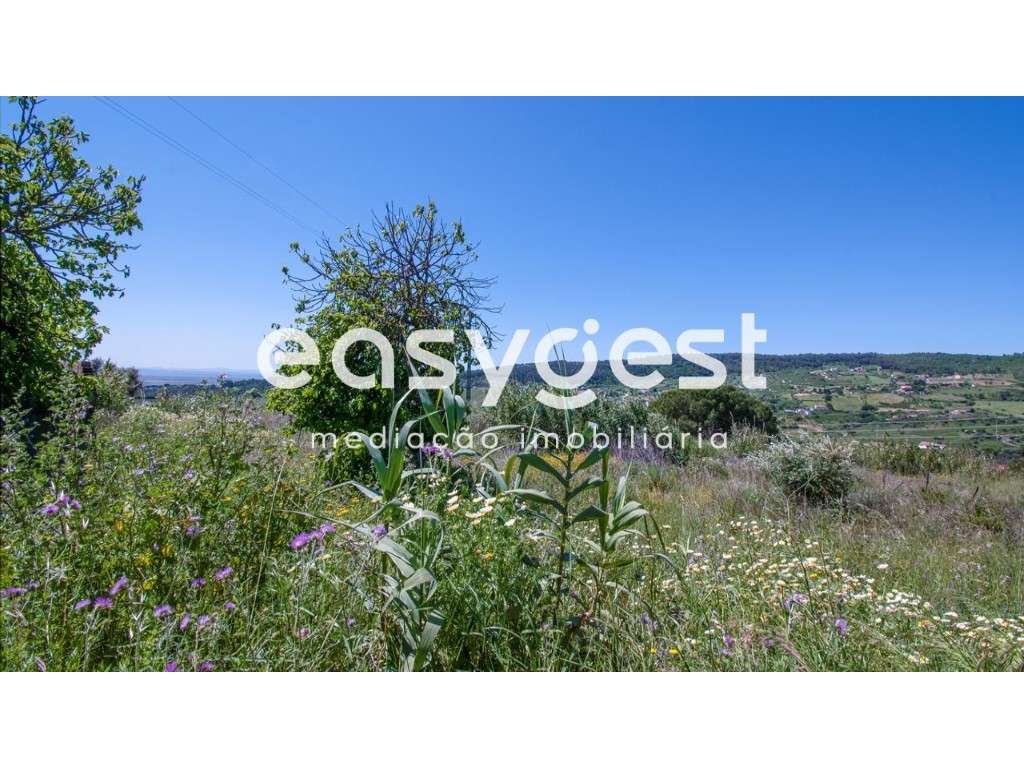 Á-Dos-Loucos, Terreno misto com viabilidade construção de moradias - Grande imagem: 5/11