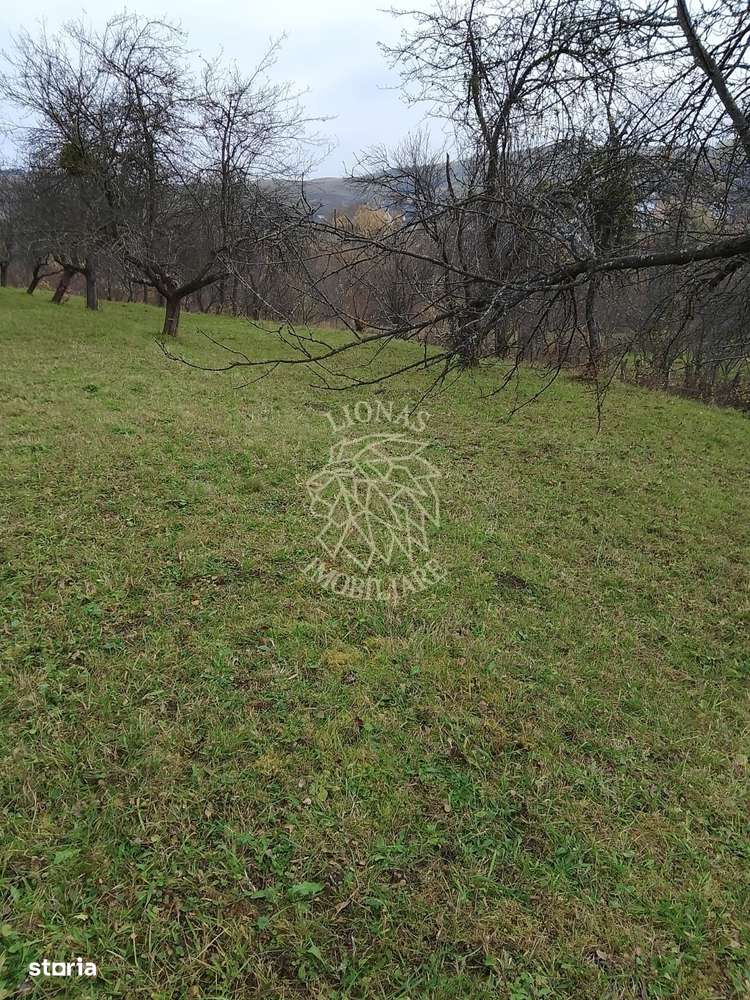Teren 3966 mp-2 deschideri-curent-investitie-Budacu de Sus - Imagine principală: 4/5