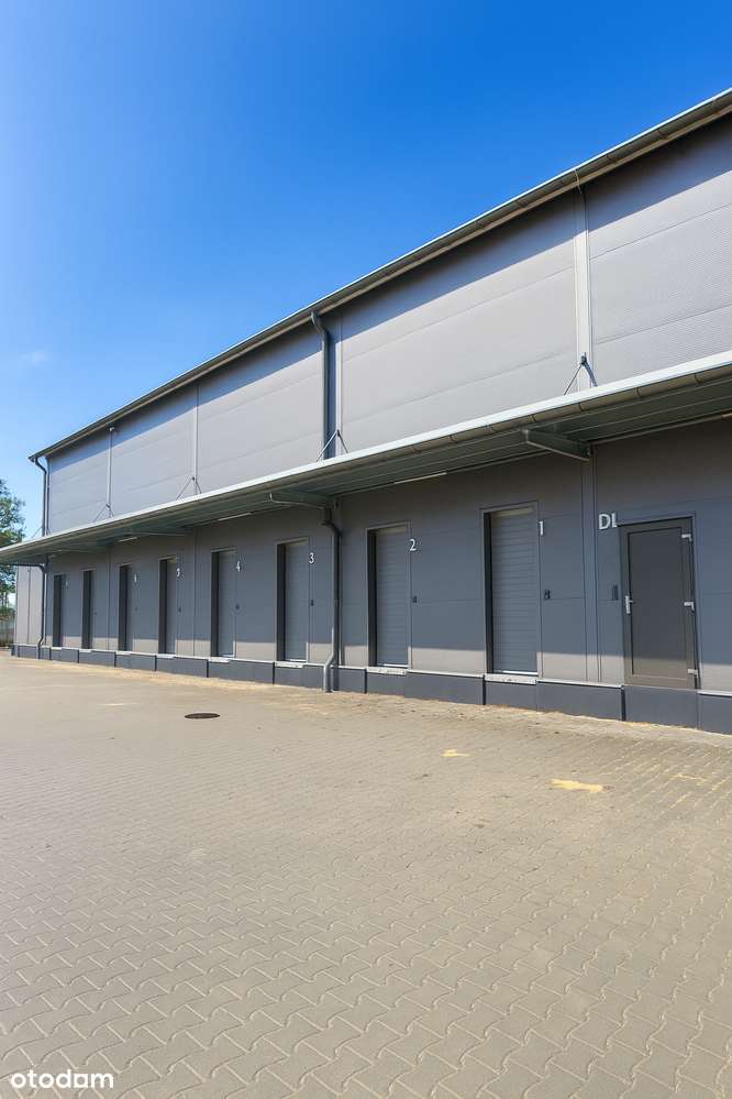 Nowiny Kielce nowy magazyn wynajem centrum dystrybucyjne Hala biuro - Pełny obrazek: 4/5