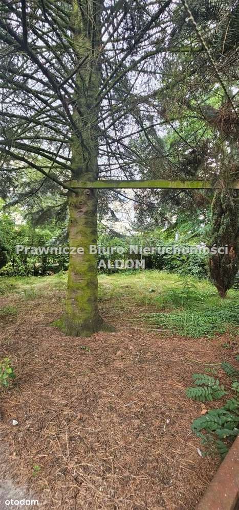 Dom, 187,50 m², Ozimek-6