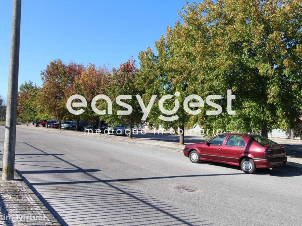 Terreno no Centro de Mira - Grande imagem: 5/5