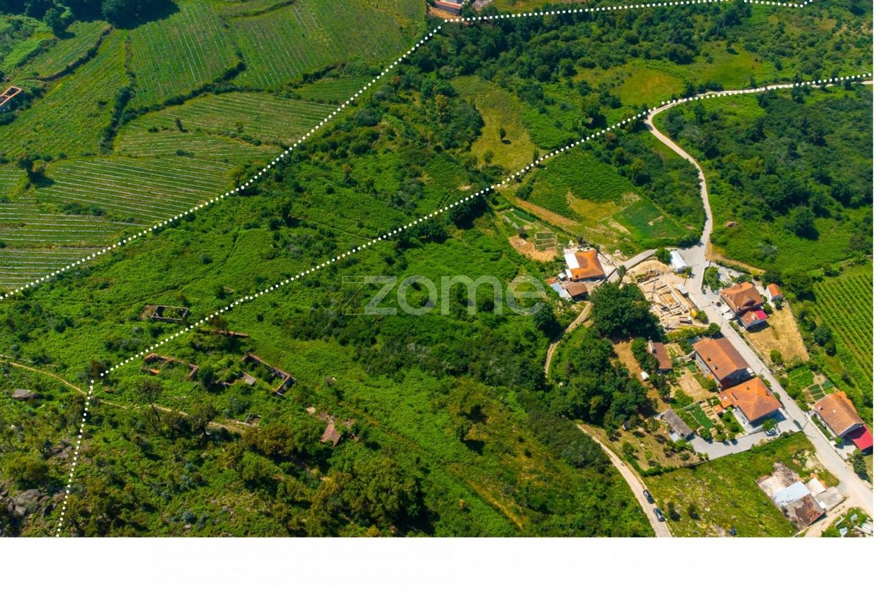 Quinta com Casa e Terreno de 18 hectares em Vila Boa do Bispo