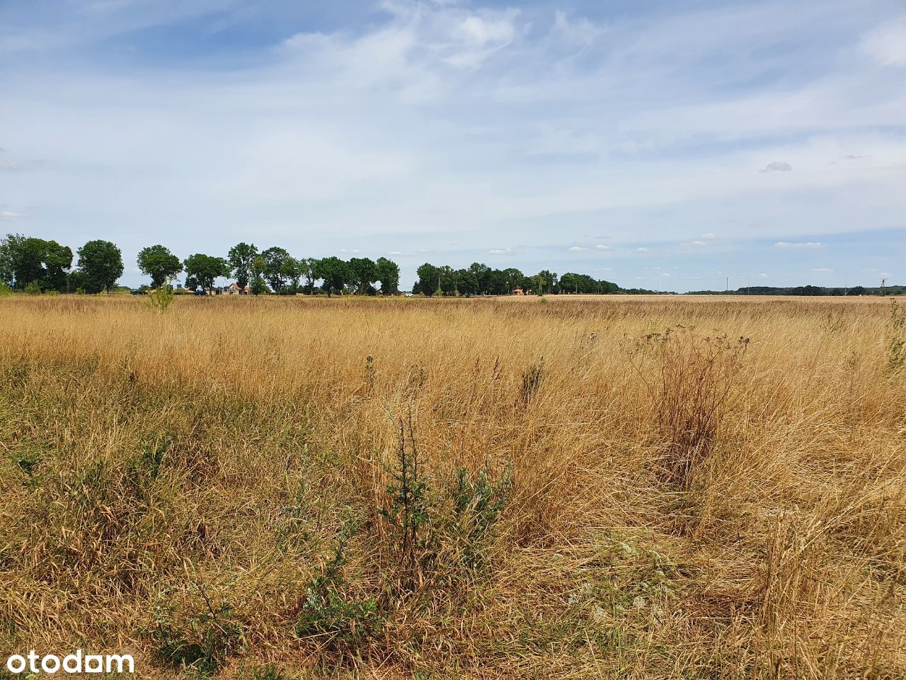 Działki rolno-budowlane Radwanice 3,47 ha