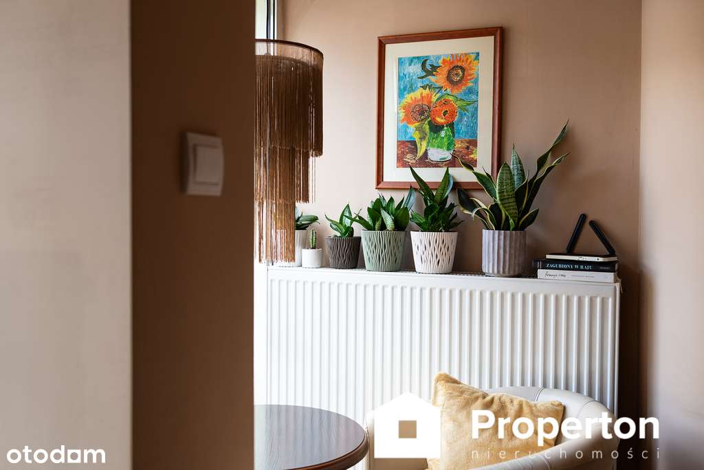 Lokal użytkowy Białystok, ul. Św. Rocha - Pełny obrazek: 4/15