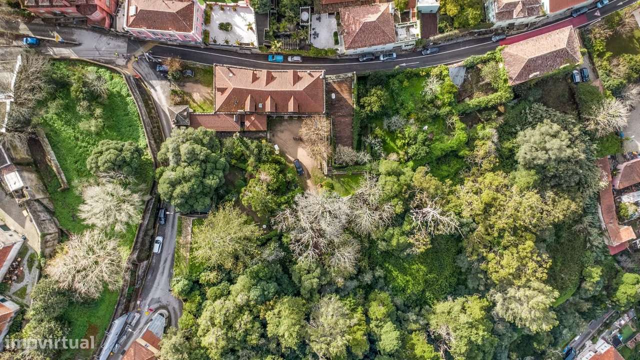 Quinta 1.9 ha, Sintra - Grande imagem: 2/60