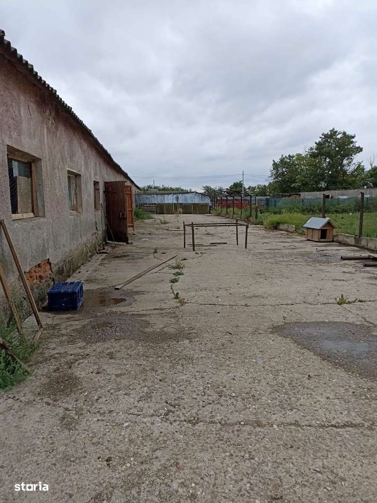 De vanzare hala 480mp comuna Silistea - Imagine principală: 5/9