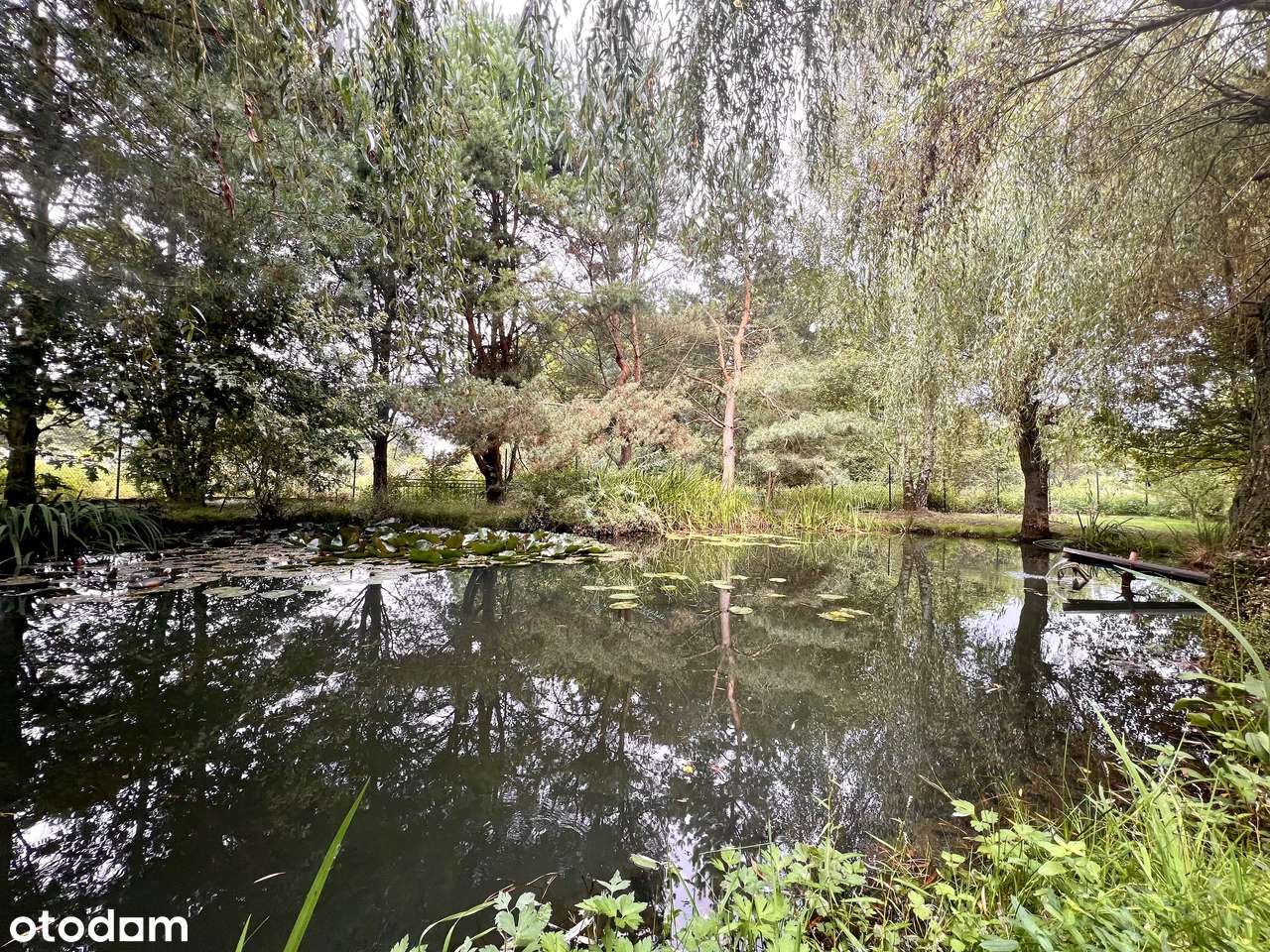 Spała-dom z własnym stawem położony w otoczeniu zieleni i ciszy. Bez %-19