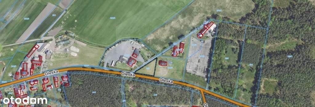 Działka pod lasem - Pełny obrazek: 4/5