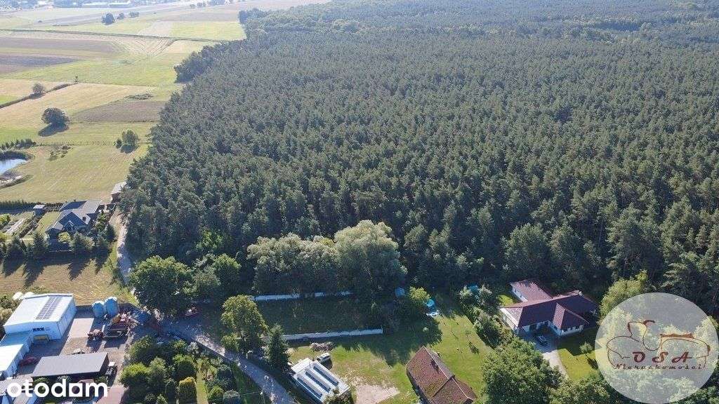 Działka 3538 m2 * Mpzp * możliwość podziału - Pełny obrazek: 5/11