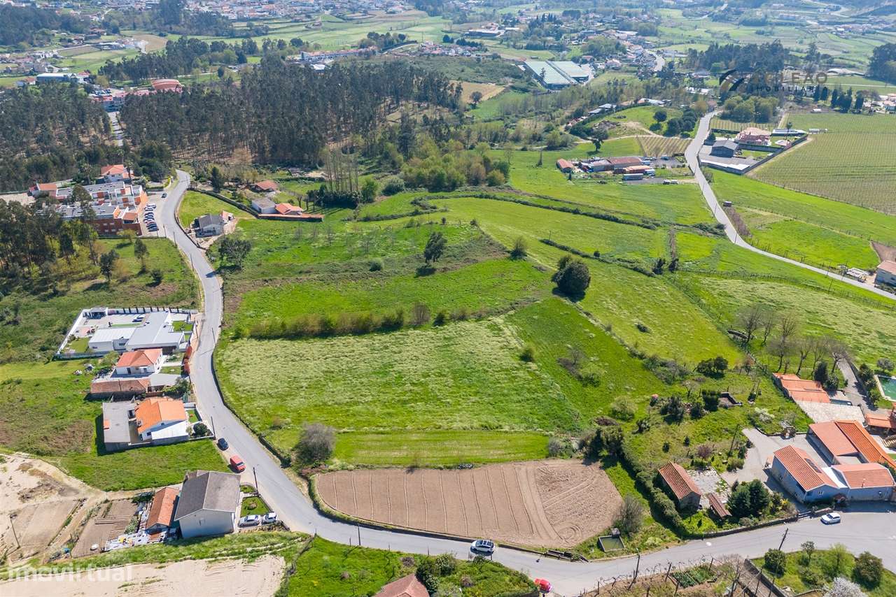 Terreno em Gondalães – 7.779 m²-15