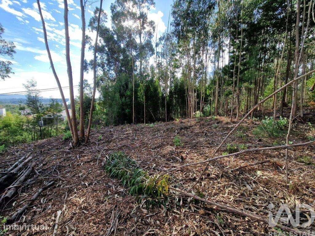 Terreno para construção em Nogueira, Meixedo e Vilar de Murteda de 291 - Grande imagem: 5/29