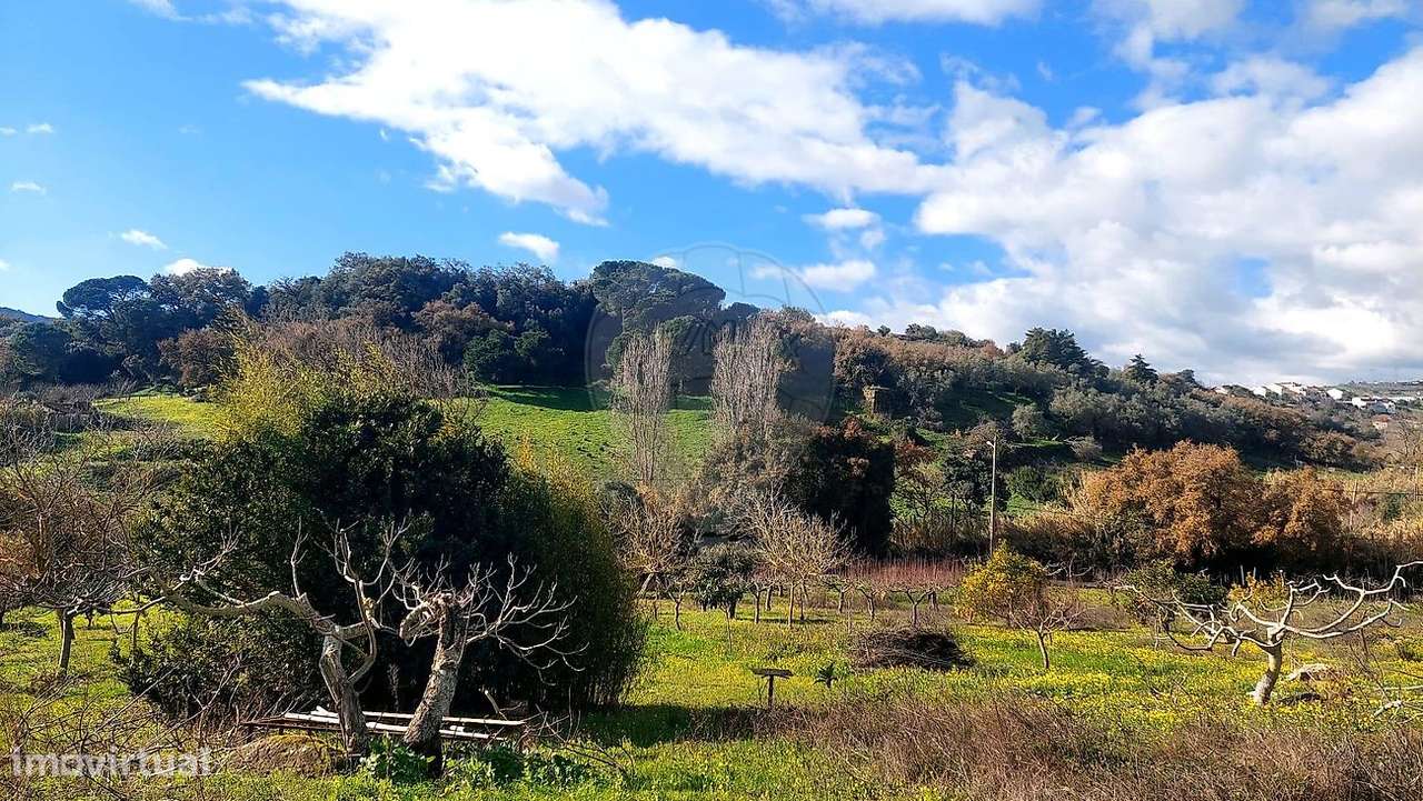 Terreno  para venda - Grande imagem: 3/43