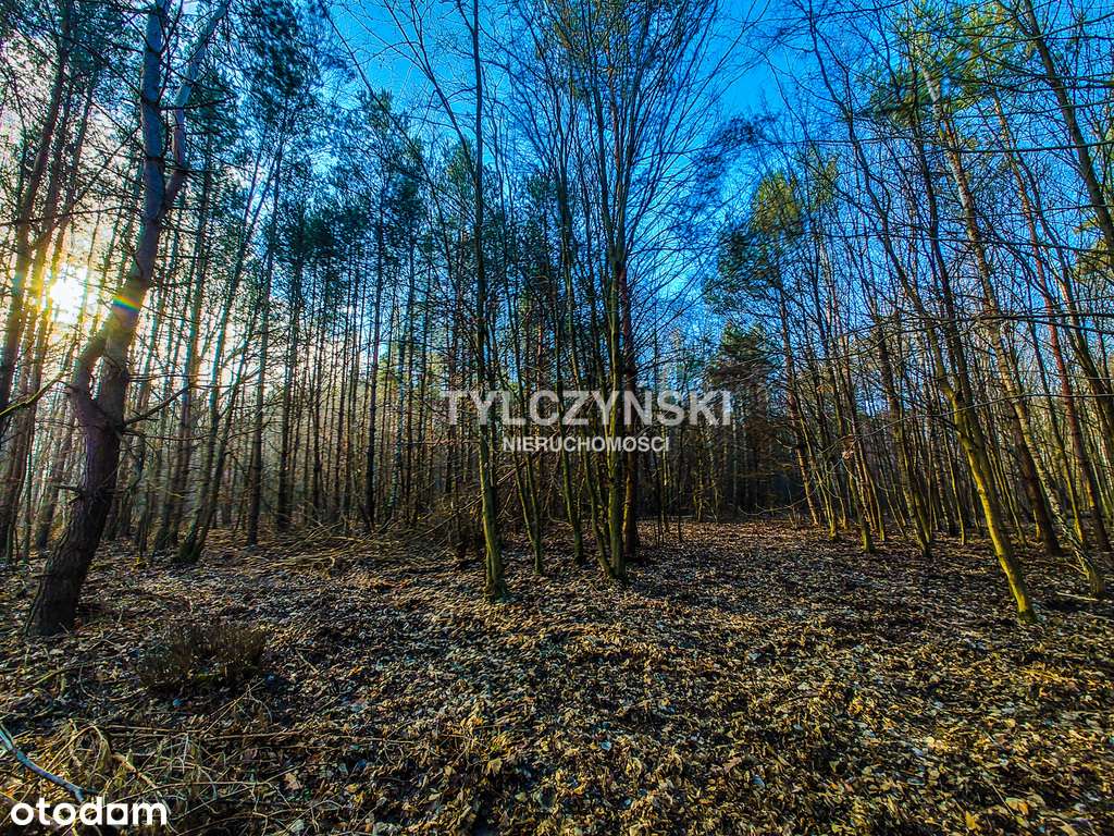 Piękna, działka budowlana 1853 m² – Adamowizna - Pełny obrazek: 4/7