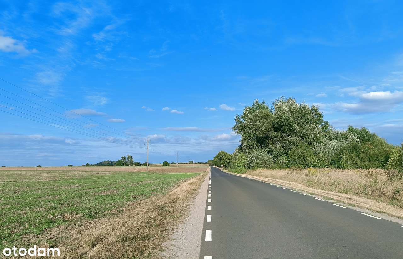 Lusówko - okolice planowanego zbiornika retencyjnego.-4