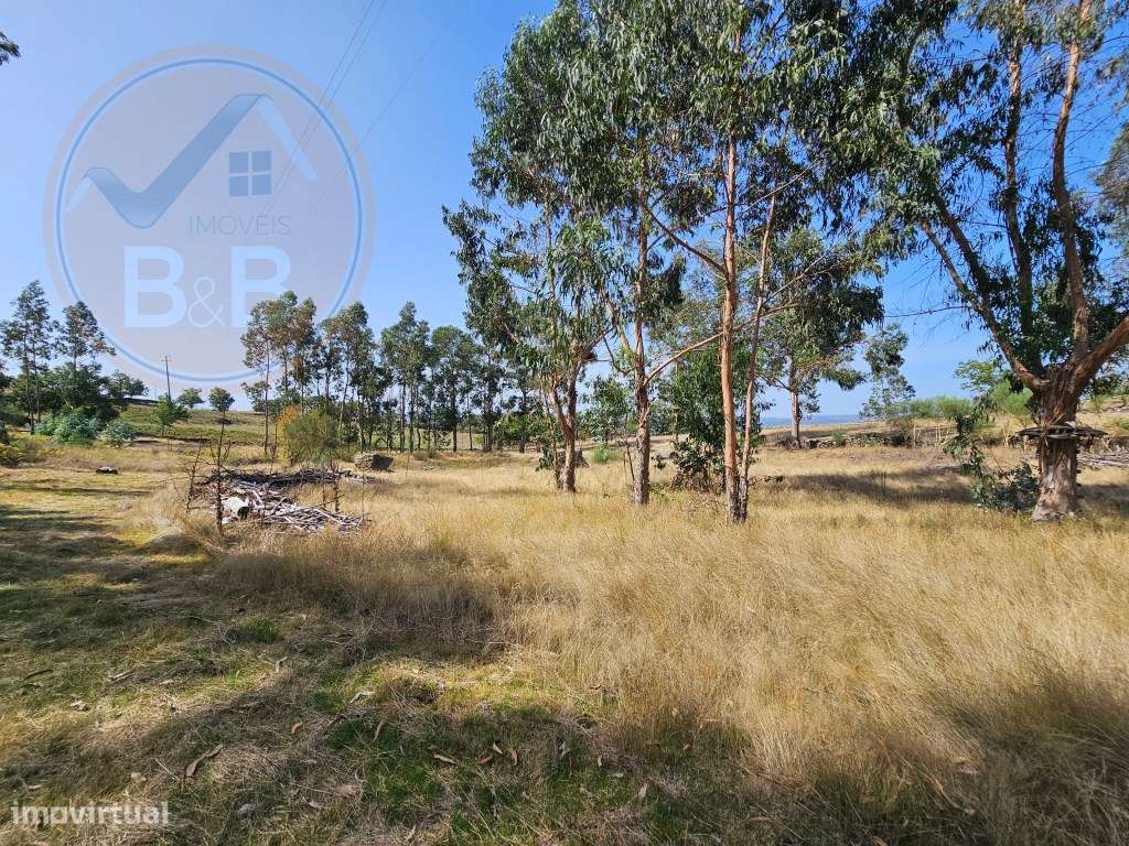 Terreno com 14.757 m², nascente de água e construção existente em J...-21