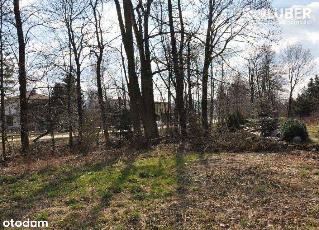 Atrakcyjna działka budowlana w super cenie - Pełny obrazek: 4/6